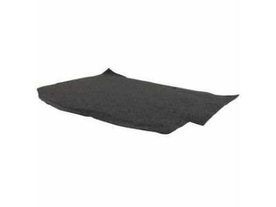 Ford BE8Z-5813046-AA Floor Cover