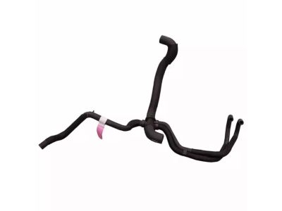 Ford AC2Z-8286-C Lower Hose