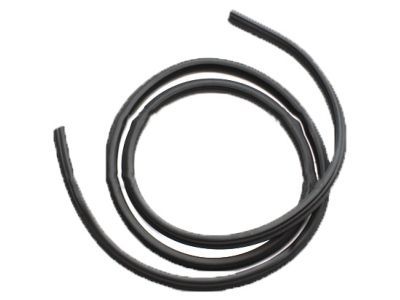 Ford BL3Z-16253A11-A Weatherstrip On Body