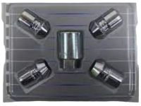 OEM Ford SSV Plug-In Hybrid Lock Set - DM5Z-1A043-A