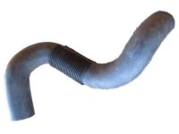 OEM 1996 Ford Bronco Lower Hose - F5TZ-8286-C