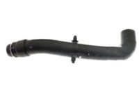 OEM 2018 Ford Taurus Lower Hose - AA5Z-8286-C