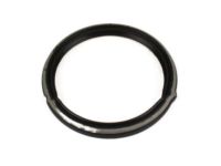 OEM 1993 Ford F-250 Rear Seal - F1TZ-6701-A