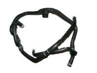 OEM 2016 Ford Escape Reservoir Hose - DV6Z-8075-B