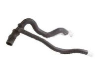 OEM 2007 Ford F-150 Lower Hose - 5L3Z-8286-AD