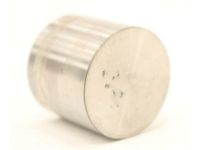 OEM 2020 Ford Transit Connect Valve Lifters - CP9Z-6500-JBB