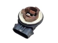 OEM Ford E-150 Socket & Wire - F1TZ-13411-F