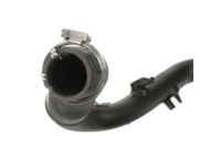 OEM 2011 Ford F-150 Upper Hose - BL3Z-6C646-B