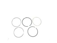 OEM 2009 Ford Escape Piston Rings - XW4Z-6148-A