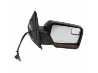 OEM Lincoln Mirror Assembly - CL1Z-17682-CBPTM