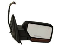 OEM Ford Expedition Mirror Assembly - FL1Z-17682-AA
