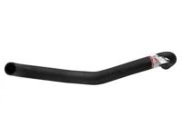 OEM 2001 Ford Mustang Upper Hose - 1R3Z-8260-DA