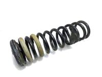 OEM 2018 Ford Escape Coil Spring - CV6Z-5560-L