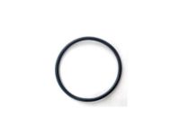OEM Ford Thermostat O-Ring - -W702041-S300