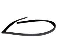 OEM 2000 Ford Focus Weatherstrip - YS4Z-6121597-AB