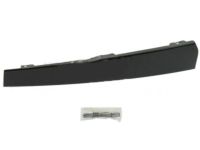 OEM Lincoln Blackwood Upper Molding - 1L1Z-7820982-AA