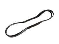 OEM Lincoln Serpentine Belt - 6W7Z-8620-BA