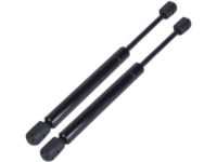 OEM Ford Lift Cylinder - 5S4Z-54406A10-AA