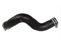 OEM Ford Escape Lower Hose - 8L8Z-8286-A
