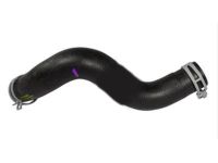 OEM Mercury Lower Hose - 8L8Z-8286-A