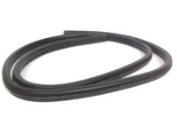 OEM 2003 Ford Escape Weatherstrip - YL8Z-7842084-AA