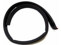OEM 1999 Ford E-150 Econoline Club Wagon Body Weatherstrip - F2UZ-1520518-C