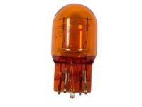 OEM 2019 Ford Expedition Park Lamp Bulb - DR3Z-13466-A
