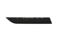 OEM 2003 Ford Focus Body Side Molding - 5S4Z-6129076-AAPTM