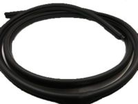 OEM Mercury Weatherstrip On Body - 8L8Z-7820530-D