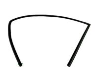 OEM Ford Run Channel - AE8Z-5421596-B