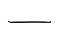 OEM 1997 Ford F-250 HD Belt Weatherstrip - F4TZ-3525597-A