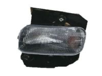 OEM Ford F-150 Fog Lamp Assembly - 1L3Z-15200-AA