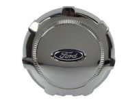 OEM 2013 Ford F-150 Wheel Cap - 9L3Z-1130-C