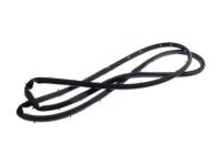 OEM 2014 Ford Fusion Door Weatherstrip - DS7Z-5420531-C
