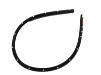 OEM Ford Transit-350 Upper Weatherstrip - EK4Z-1551400-H