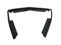 OEM 2014 Ford Fusion Front Weatherstrip - DS7Z-16B990-F