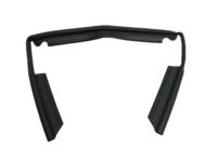 OEM Ford Police Responder Hybrid Front Weatherstrip - DS7Z-16B990-F