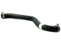 OEM 2006 Lincoln Navigator Upper Hose - 4L1Z-8260-AA