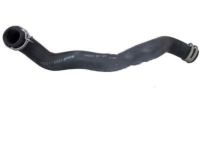 OEM Ford Lower Hose - 4L3Z-8286-BC