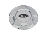 OEM 2010 Ford F-150 Wheel Cap - 9L3Z-1130-A