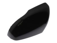 OEM Ford Edge Mirror Cover - FT4Z-17D743-BAPTM