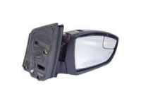 OEM 2019 Ford Escape Mirror Assembly - GJ5Z-17682-EA