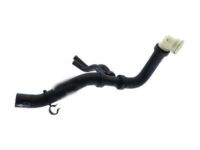 OEM 2017 Ford F-150 Lower Hose - HL3Z-8286-B