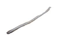 OEM 2000 Ford F-250 Super Duty Body Side Molding - 2C3Z-2520879-CAPTM