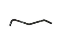 OEM 2017 Ford F-150 Overflow Hose - FL3Z-8075-A