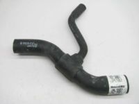 OEM 2004 Ford Mustang Lower Hose - F6ZZ-8286-C