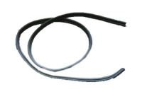 OEM 2006 Ford Focus Weatherstrip - 6S4Z-6143720-A