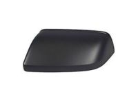 OEM 2020 Ford Expedition Mirror Cover - JL1Z-17D743-CA