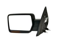 OEM 2010 Ford F-150 Mirror Outside - 9L3Z-17683-DBPTM