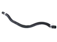 OEM Lincoln Blackwood Reservoir Hose - F85Z-3691-BA